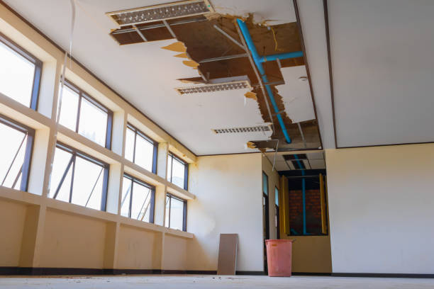 Best Water damage restoration near me  in Ocean Grove, MA