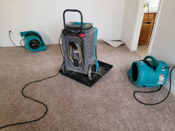Best Mold removal after water damage  in Ocean Grove, MA