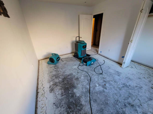 Best Ceiling water damage repair  in Ocean Grove, MA