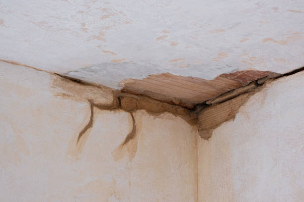 Best Water damage restoration near me  in Ocean Grove, MA