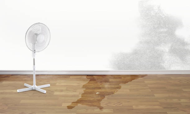 Best 24-hour water damage restoration  in Ocean Grove, MA