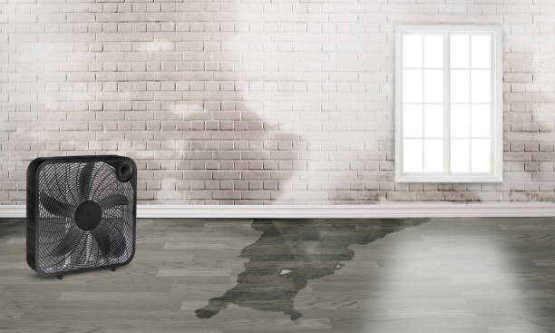 Best Water damage cleanup near me  in Ocean Grove, MA